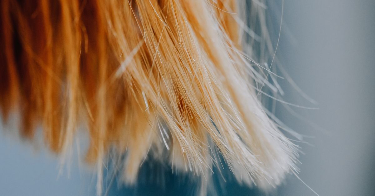 اختبار مرونة الشعر: لماذا يتقصف شعرك رغم العناية به؟